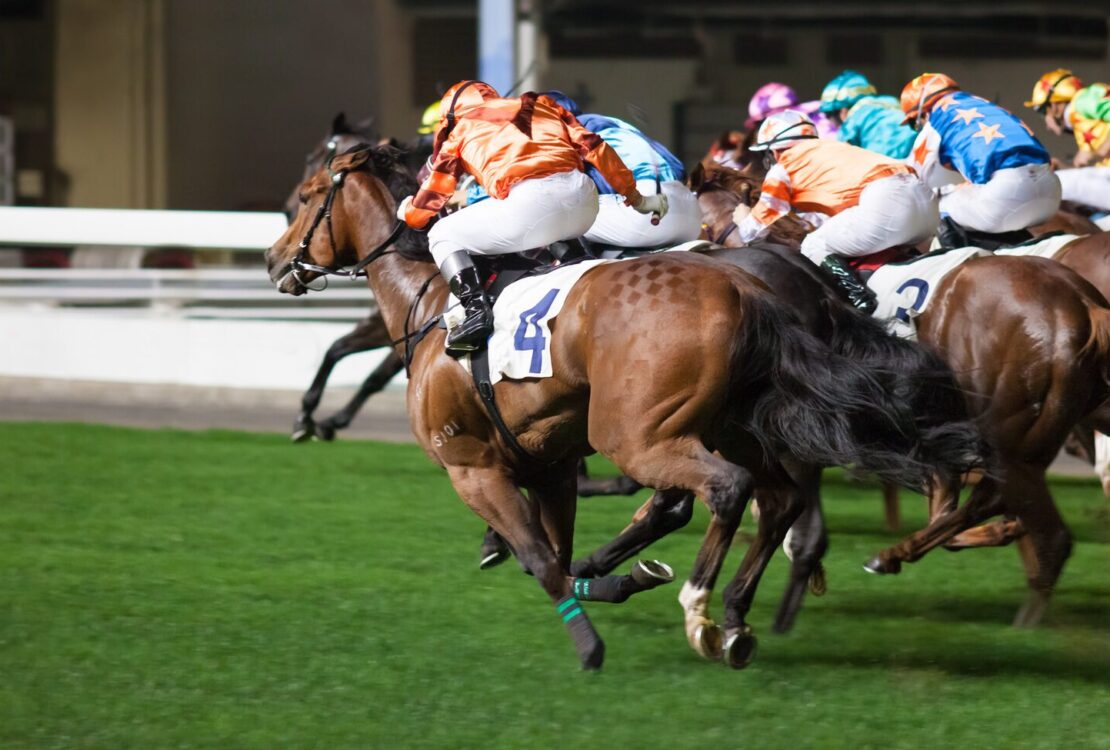 Jak obstawiać wyścigi konne