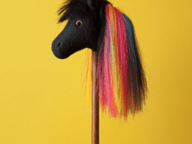 Co to jest hobby horsing? Czy hobby horsing to sport? 48 Hobby Horsing